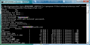 Sauvegarder son site FTP avec WinSCP et 7-ZIP automatiquement. Idéal pour wordpress, joomla, dotclear et autres blogs