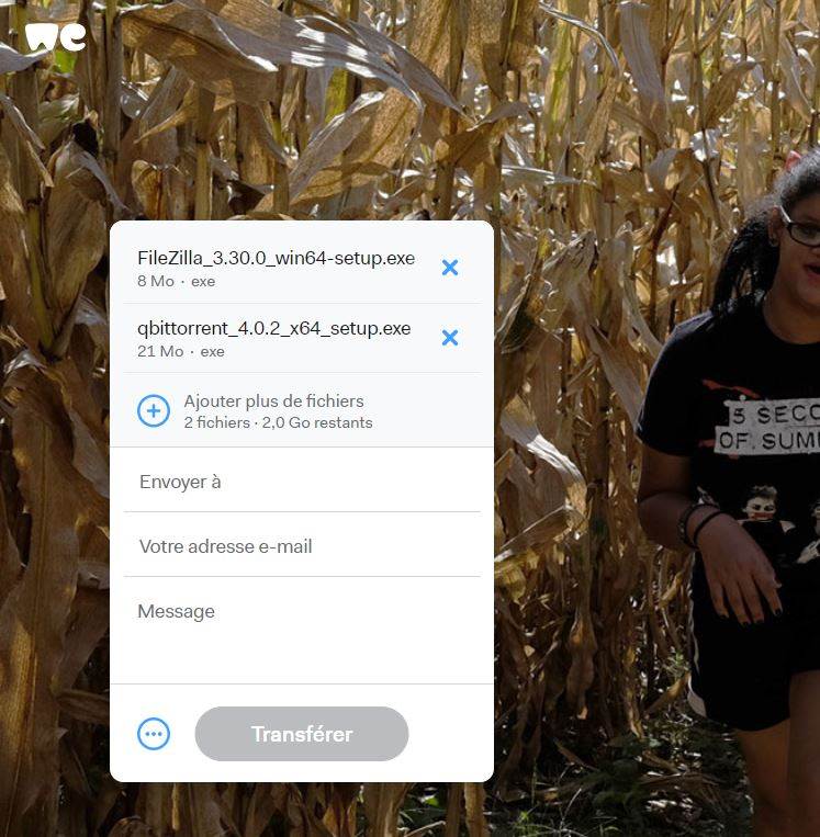 IMPOSSIBLE DE T L CHARGER DES FICHIERS RE US SUR WETRANSFER visual data 7