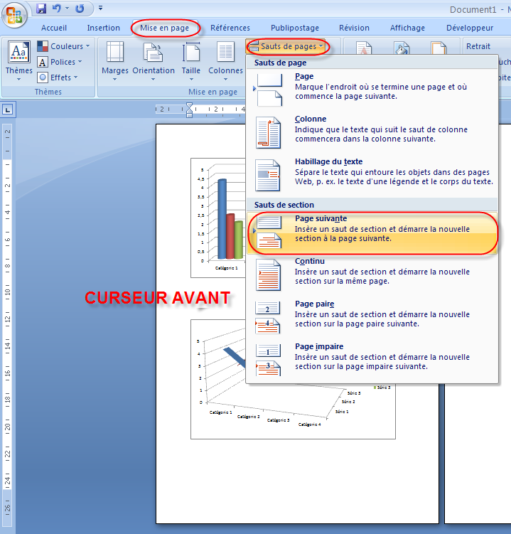 Mettre Une Seule Page En Paysage Dans Un Document Word