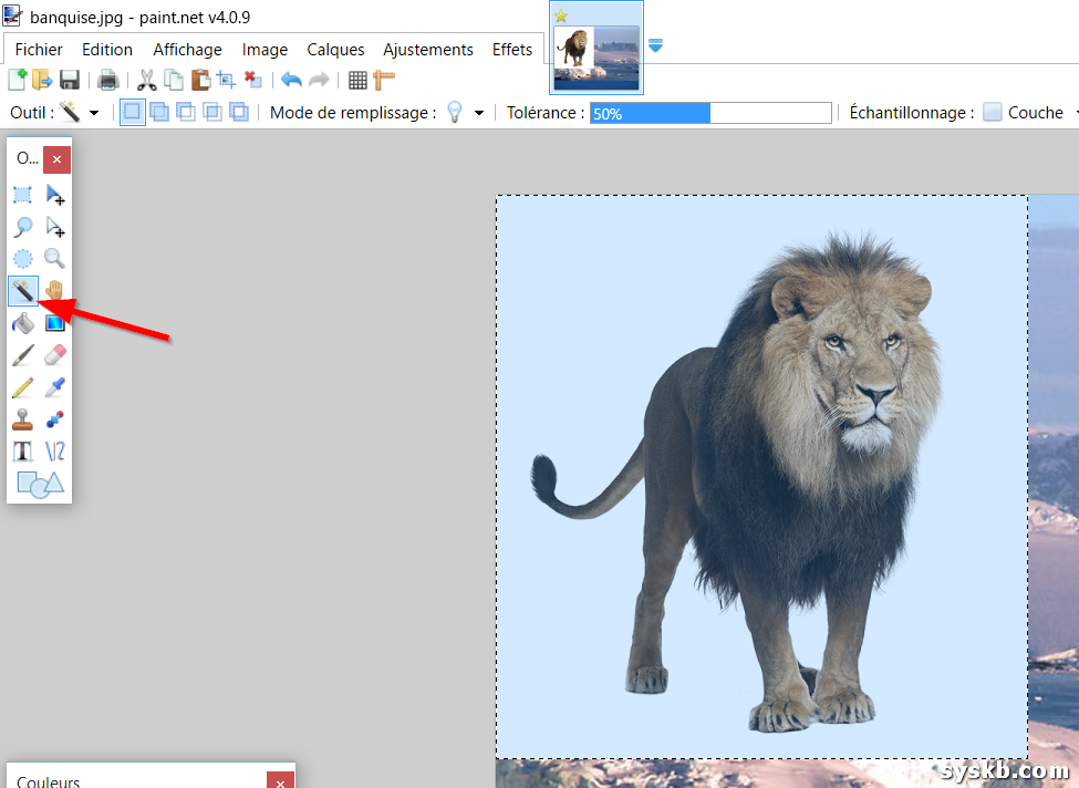 Retirer L Arriere Plan D Une Image Dans Paint Net Pour Reussir Vos Incrustations