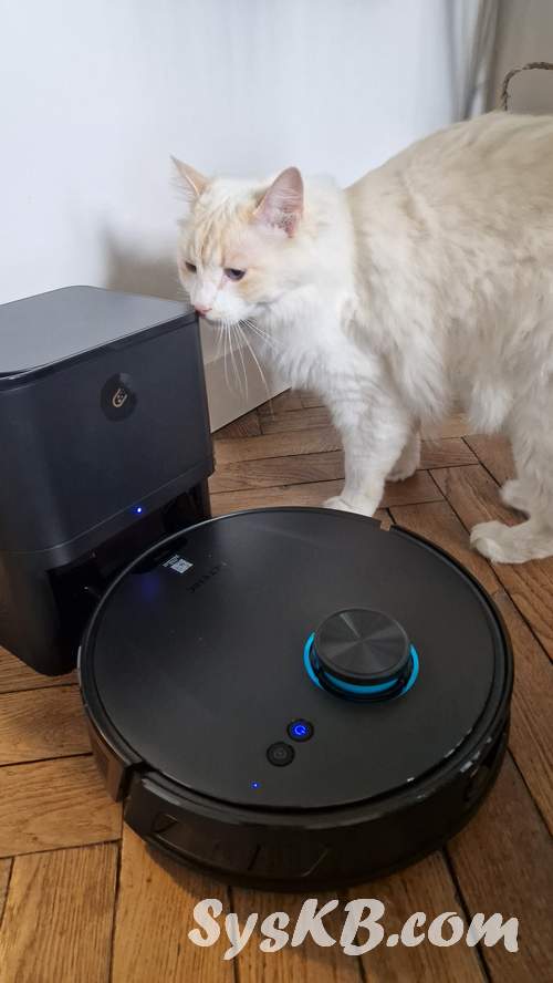 Mon chat l'a déjà adopté