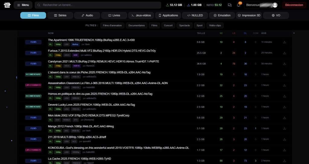 Site de download Torr9