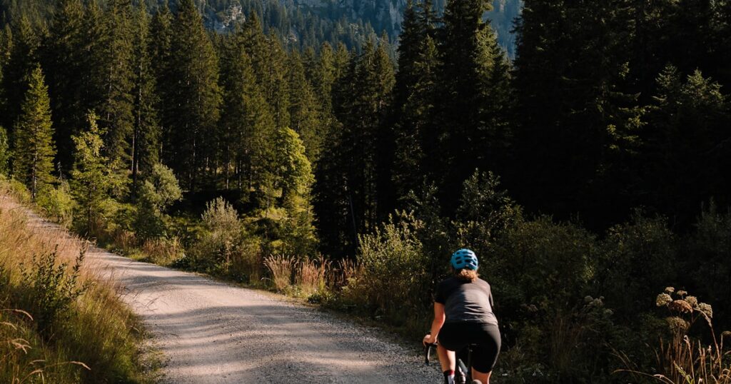 Lequel a le meilleur écran pour rouler en plein soleil ?